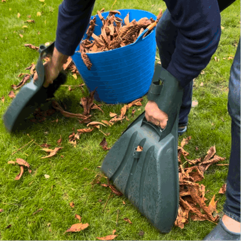 Can't be-leaf this!