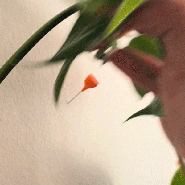 Your hanging plants will thank you