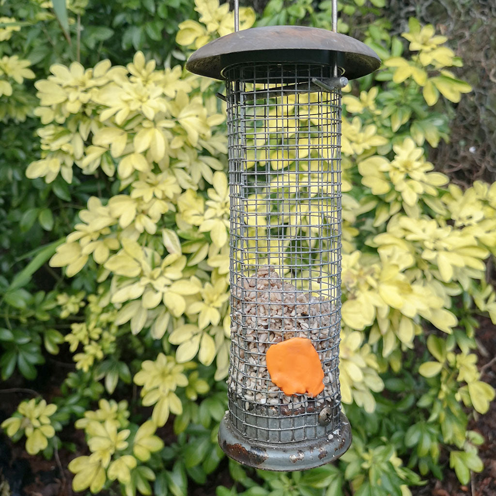 Fix bird feeder